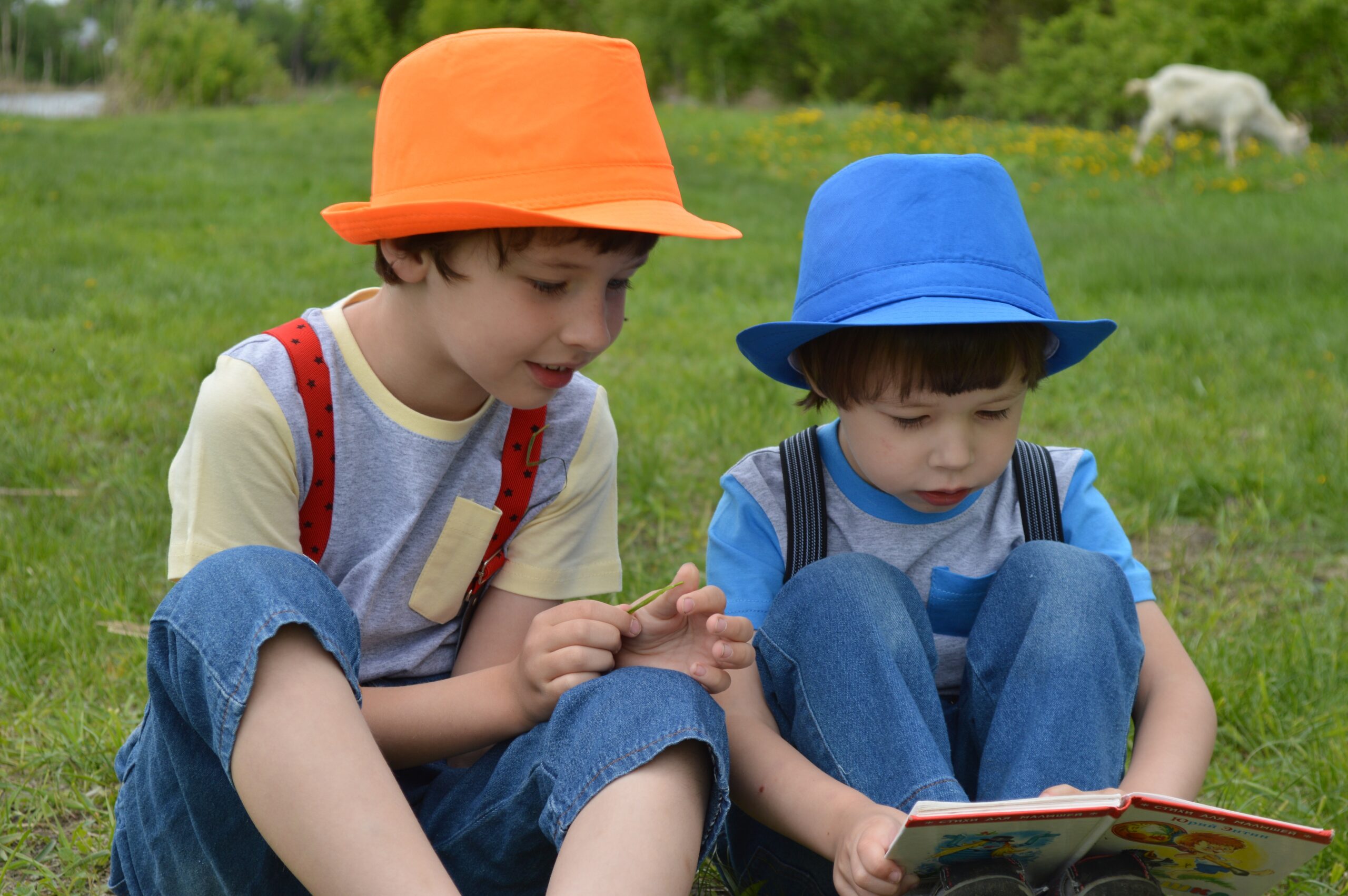 Two brothers reading a book together outside